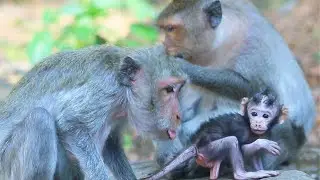 Young Mama Jinx Give Her Bb Learn To walk after She Remove Lice on Jan 8,2026/Vs.6k085. Ambers