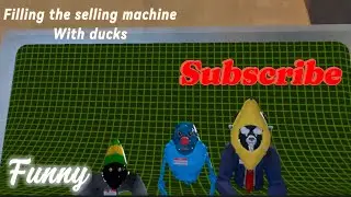 Filling the selling machine with ducks #animal company #fan #vr #funny #ducks #money #sub