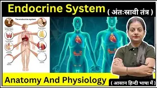Endocrine system Anatomy and Physiology in Hindi | Endocrine Gland | Types of Glands | Thyroid Gland