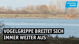 Ismaninger Speichersee soll gemieden werden