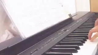 天鵝湖/Swan Lake (Swan Theme)