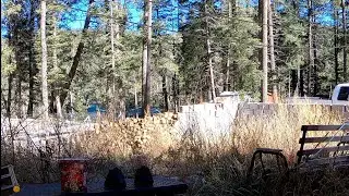 Почему в горах так тепло этой зимой?