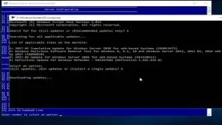Installing Docker onto a Windows Server 2016 Datacenter Server