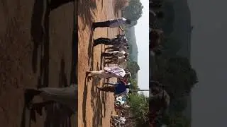 padedi ador