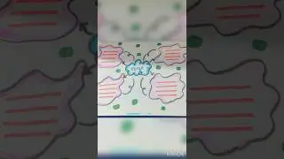 Mind map design#art #artscraft #drawing #trending #diy #shorts
