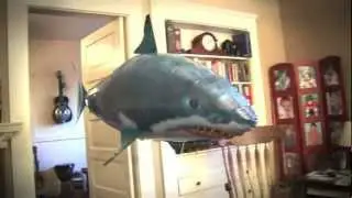 Air Swimmers -Flygende hai og flygende klovnefisk