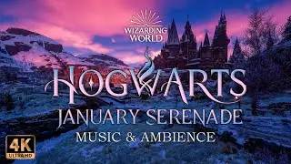 🎵Harry Potter Fans REACT to January Serenade Music & Ambience 4k