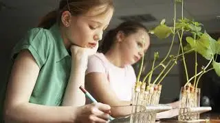 Neopor&reg; in the Environmental Education Classroom & Wildlife Habitat