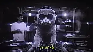 DJ TOR MONITOR KETUA X TABOLA BALE X MELODY LAMBADA VIRAL TIKTOK TERBARU 2025