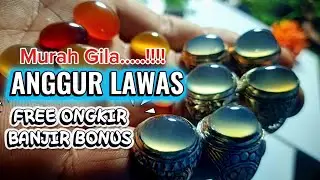 OWNER SEMAKIN MENGGILA NI....!!! BATU ANGGUR LAWAS SUPER KRISTAL CUMA DI HARGA SE GITU..?