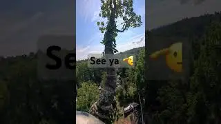@TeamRipsawUSA #ripsaw #chainsaw #tree #outdoors #adventure