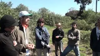 Curso Prático Agrofloresta em Maringá parte 01