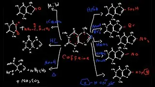 شرح نظري تجربة Extraction of caffeine from tea