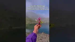 short video #rasuah#mountains#flowers#nepal🇳🇵