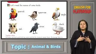 **English 3+ Kids Learning | Animals and Birds | Teacher Guide**