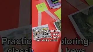 Teaching classification keys gradually #primaryscience #scienceskills #education #teacher #science