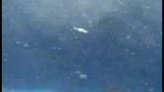 mini dynamite