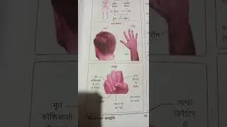 मानव का कंकाल तंत्र #biology some#importantfact #