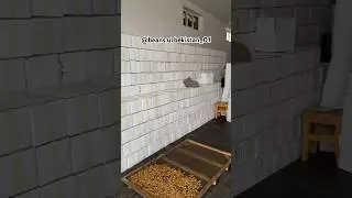 #new#nut#elevator#export#nut#import#uzbekistan#samarkand#export#nut#import#export#nut#elevator#2024
