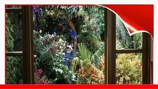 8 Courtyard Flower Garden Ideas 🧧