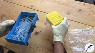 3D printable pipette tip sorting device 'Elster' for 200 &micro;L pipet tips