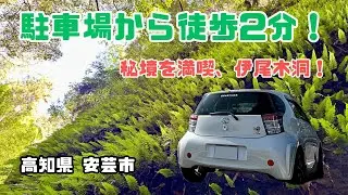 駐車場から徒歩2分！秘境を満喫！伊尾木洞！