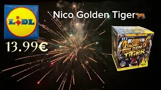 Nico - Golden Tiger🐅 Test Fireworks Cake 30mm / 10 Shots💥Nico Feuerwerk