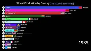 Top 15 Wheat Producing Countries (1961-2022) 📊