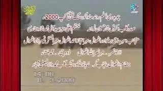 Dogs Greyhound coursing Race | 2000 پرانی یادیں وابستہ ویڈیو  کشمیراور پنجاب کے شکاری #dog #trending