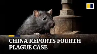 China reports fourth plague case in November