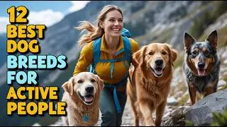 ✅ 12 Best Dog Breeds for Active People 🏆 How to Find The Right Dog Breed for You 😍 🐕