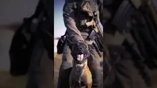 The best partner! #shorts #veteran #military #doglovers #dogs #usarmy #usnavy #usairforce #usa