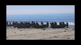 Boat Raid Course | Bravo Company, 1/1 Marines Train at Camp Pendleton (2025) #subscribe #aviation