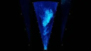 ARIS (Adaptive Resolution Imaging Sonar) video