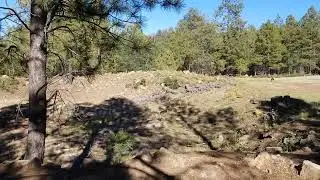 Things to Do in New Mexico 2024 - Merriam's Turkey Hunting - Join the Slam Event