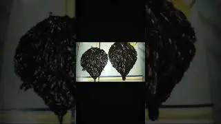 |Chocolate leaf in making without any mould | Easy chocolate Decorated for Cake| #Shorts#Cake#Ideas