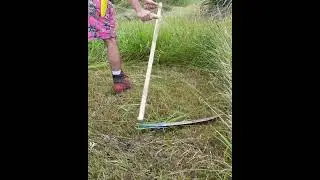 Mowing with an Austrian scythe