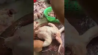 super fast chicken cutting knife test #germany