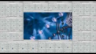 Cellular Regeneration Energetic Vortex