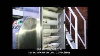Senbo Biscuits Packing Machine