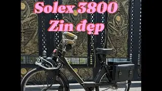 Solex 3800