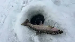 Hebgen Lake Ice Fishing. Madison Adventures
