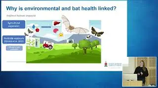Dr Mariette Van Der Walt (University of Pretoria) - Environmental and bat biology in spillover