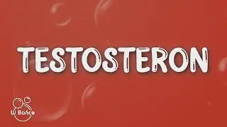 Kayah - Testosteron (Tekst/Lyrics)