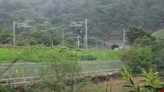 [view testing]lone EMD G16 hual the X905 mail coach