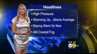 Evelyn Taft 2012/05/18 KCAL9 HD; Silver snakeskin dress