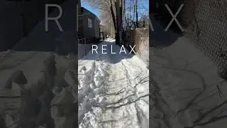 ASMR Quiet Morning Winter Walk down the Monarch Park Walkway #asmr #toronto #winter #snow