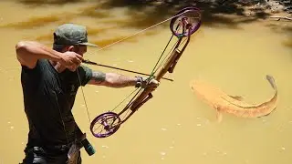 DIY INSANE Double Wheels Bowfishing: Off-Grid Monster Fish Hunt!