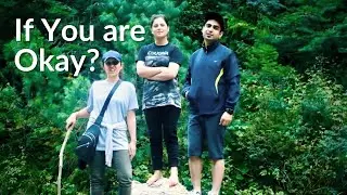 A Short Brief to Good Life ft. Sharan Forest | Camping, Manshi Top, Waterfalls Trek & Travel Guide