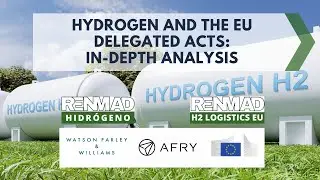 🟢Hydrogen and the EU Delegated Acts: In-depth Analysis🟢